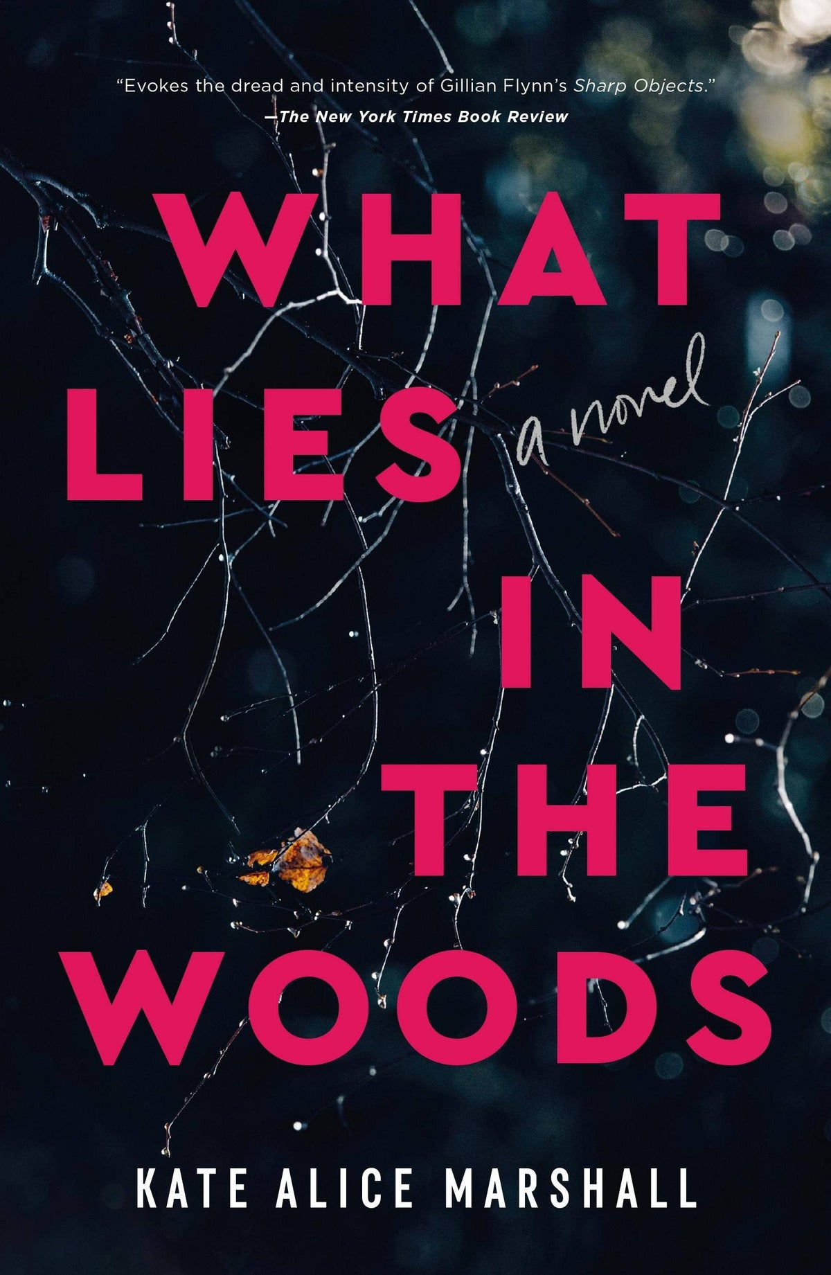 What Lies In The Woods: A Novel #1