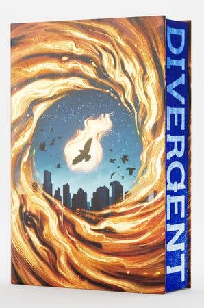 Divergent Deluxe Limited Edition: Veronica Roth