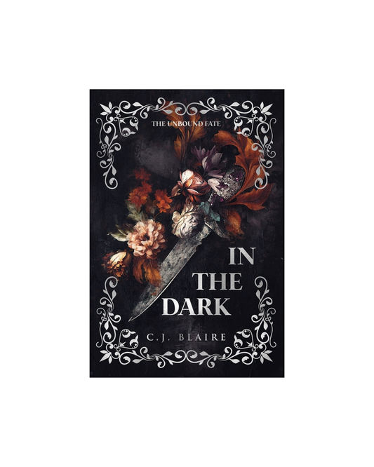 In the Dark Paperback